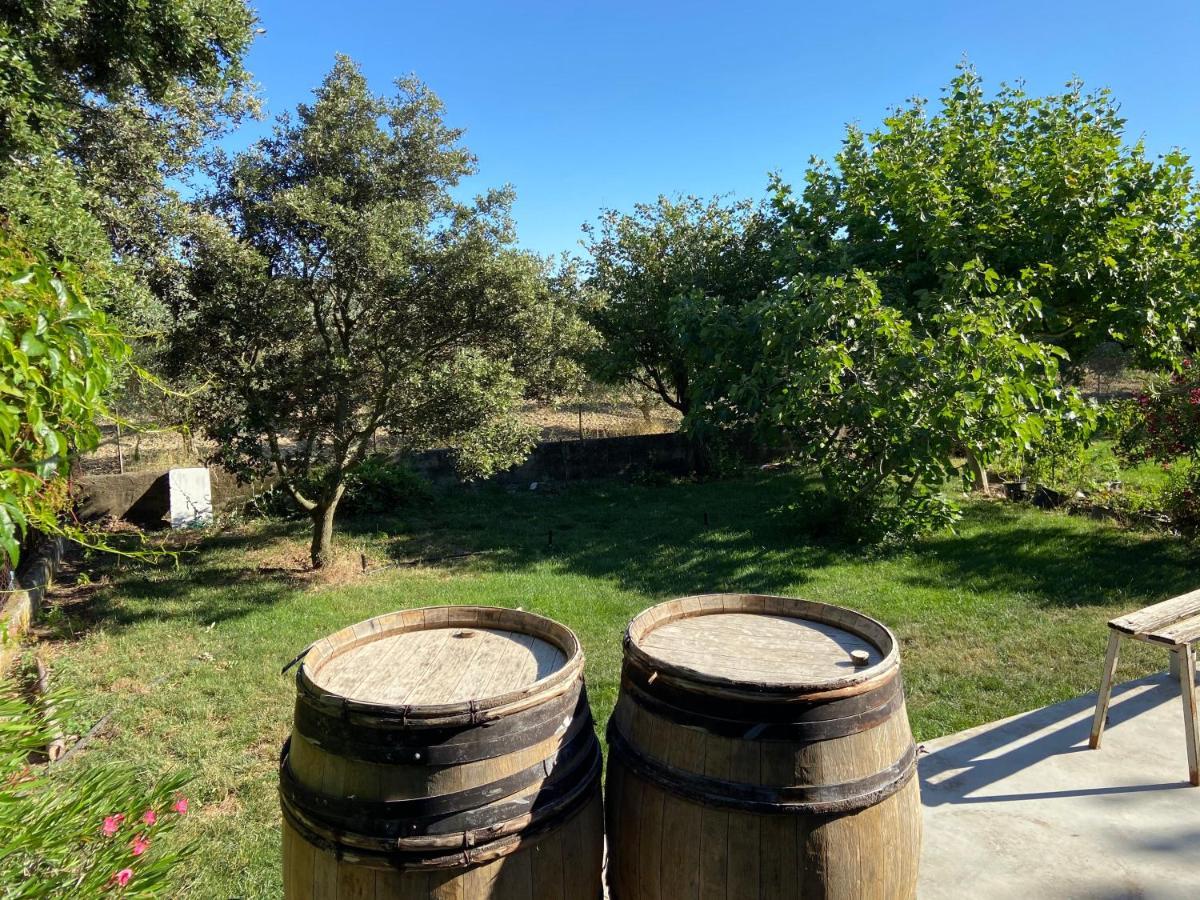 Gite A La Ferme Clansayes Exteriér fotografie
